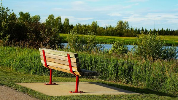 Athérosclérose : 5 stratégies efficaces pour la prévention